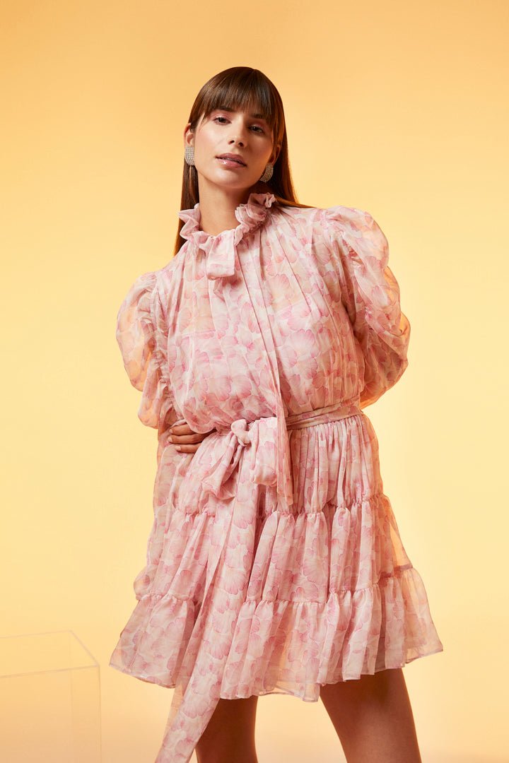 molly dress Molly Dress - Pink